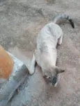 Não tem nome