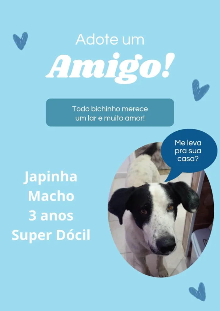 Cachorro ra a SRD-ViraLata idade 3 anos nome Chapinha