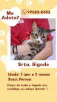 Sra. Bigodes