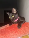 Lua