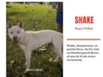 Shake