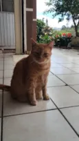 Bobby