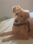 Luke