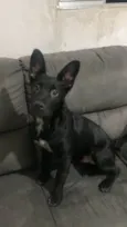 Zeus