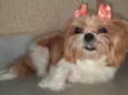 Mel