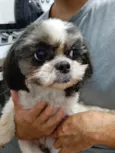 Bella