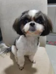 Bella