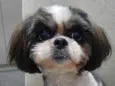 Bella