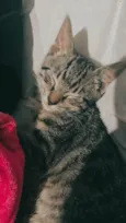 Nina