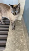 Mia