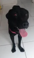 Diamante
