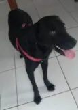 Diamante