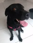Diamante