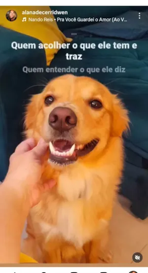 Cachorro raça SRD-ViraLata idade 2 anos nome Óscar 
