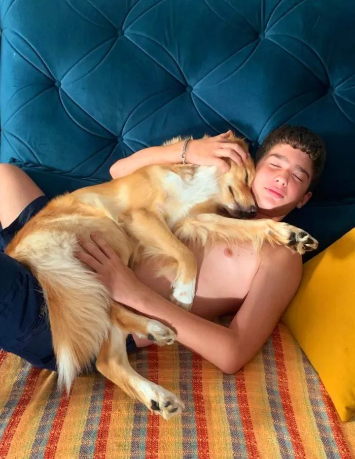 Cachorro ra a SRD-ViraLata idade 2 anos nome Óscar