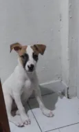 Não tem nome