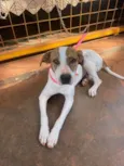 Zulu