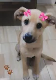 SOPHIE
