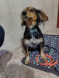 Phoebe