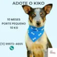 Kiko