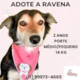 Ravena