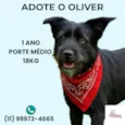 Oliver
