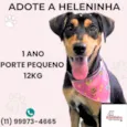 Heleninha