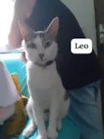 Léo