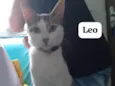 Léo