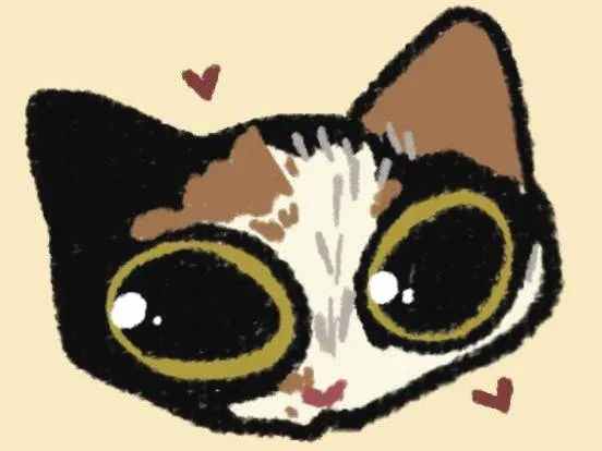 Gato ra a SRD-ViraLata idade 1 ano nome Safira (Sasá)