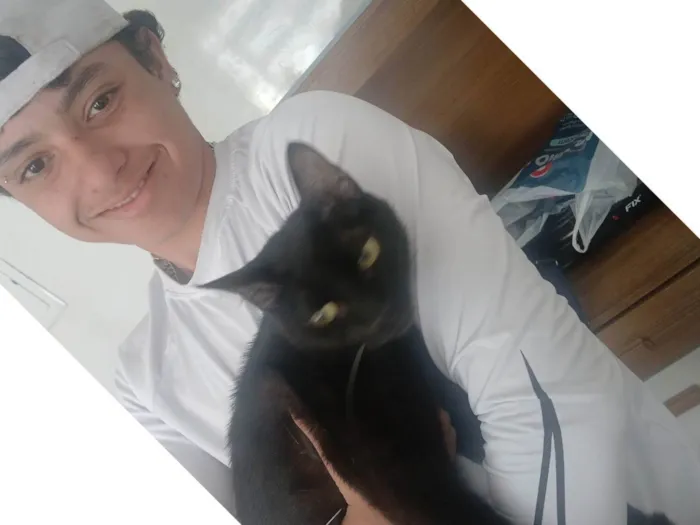 Gato ra a SRD-ViraLata idade 7 a 11 meses nome Neguinho 