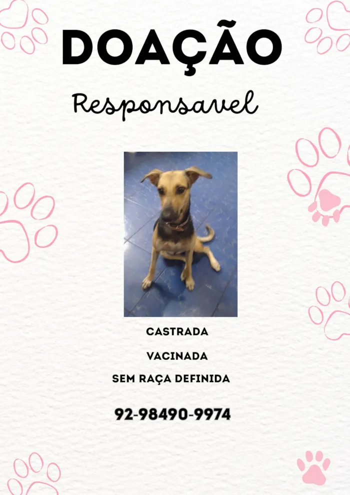 Cachorro ra a SRD-ViraLata idade 1 ano nome Taia