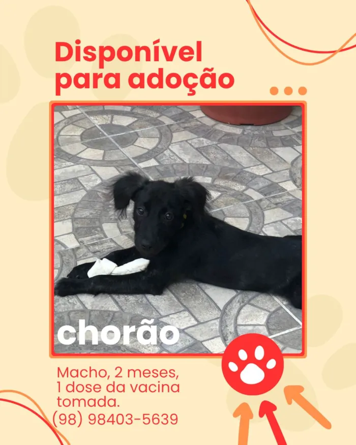 Chorão
