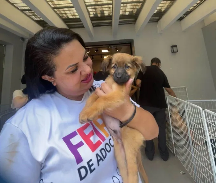 Cachorro raça SRD-ViraLata idade 2 a 6 meses nome Cappuccino bb3mesesporte pequeno 