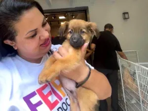 Cachorro raça SRD-ViraLata idade 2 a 6 meses nome Cappuccino bb3mesesporte pequeno 