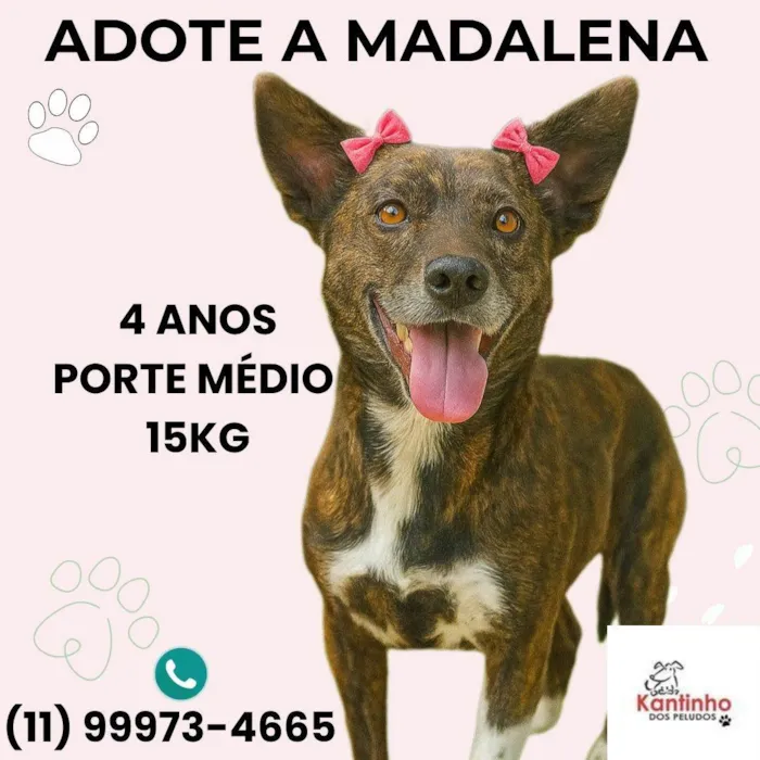 Madalena