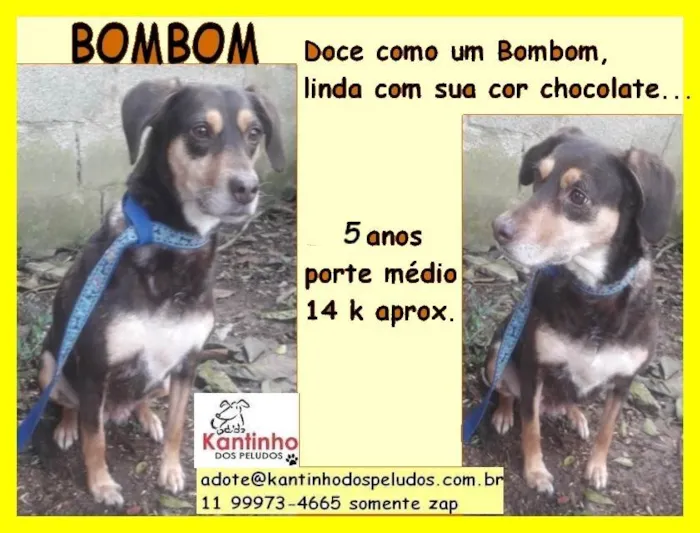 Bombom