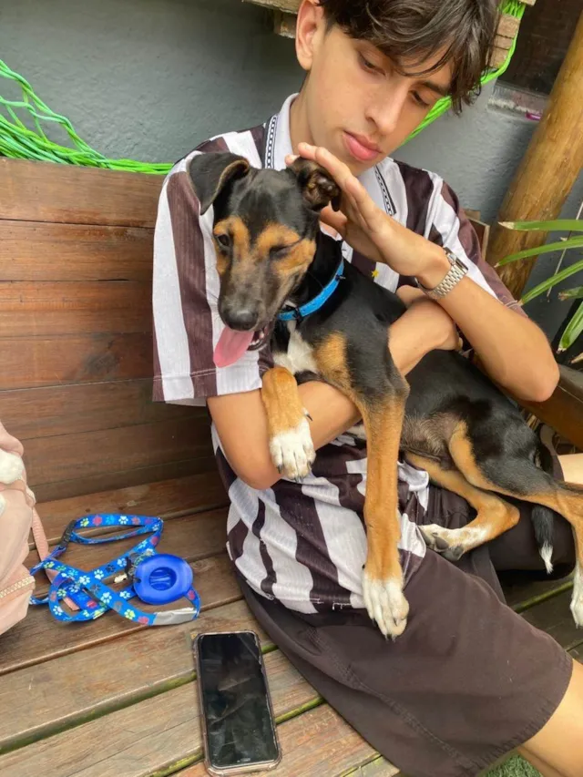 Cachorro ra a SRD-ViraLata idade 2 a 6 meses nome buck