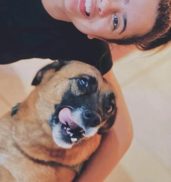 Cachorro ra a Pastor Alemão idade 4 anos nome Catarina