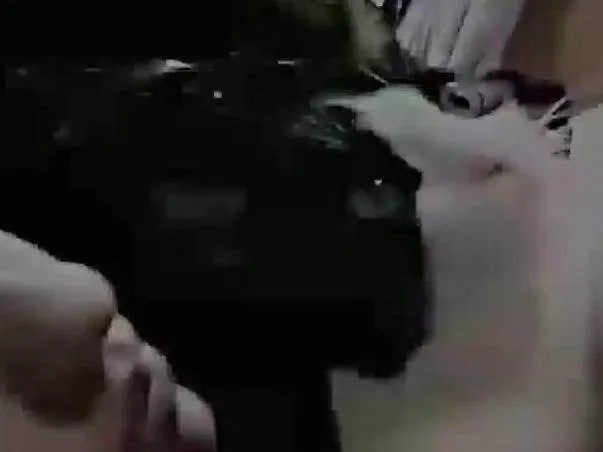 Gato ra a SRD-ViraLata idade 7 a 11 meses nome Sol (macho) - Lua (fêmea) yuki (fêmea)