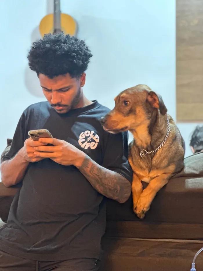 Cachorro ra a SRD-ViraLata idade 2 anos nome Urso