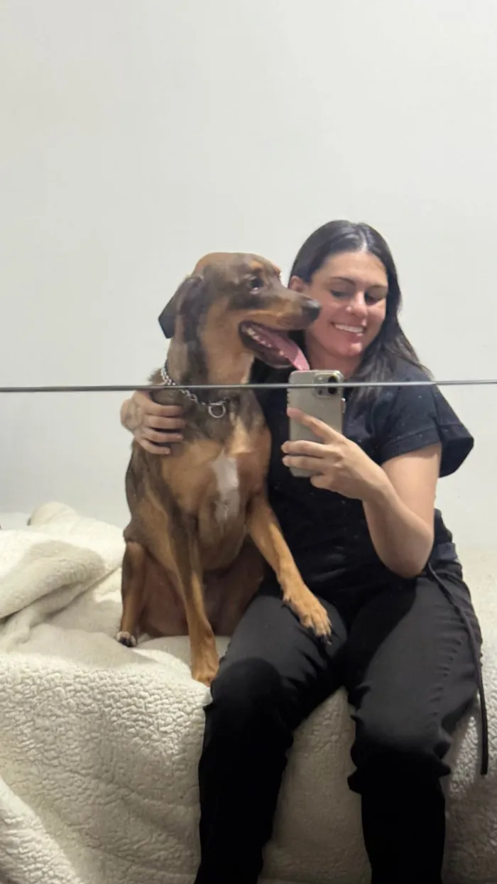 Cachorro ra a SRD-ViraLata idade 2 anos nome Urso