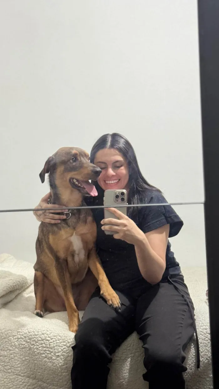 Cachorro ra a SRD-ViraLata idade 2 anos nome Urso