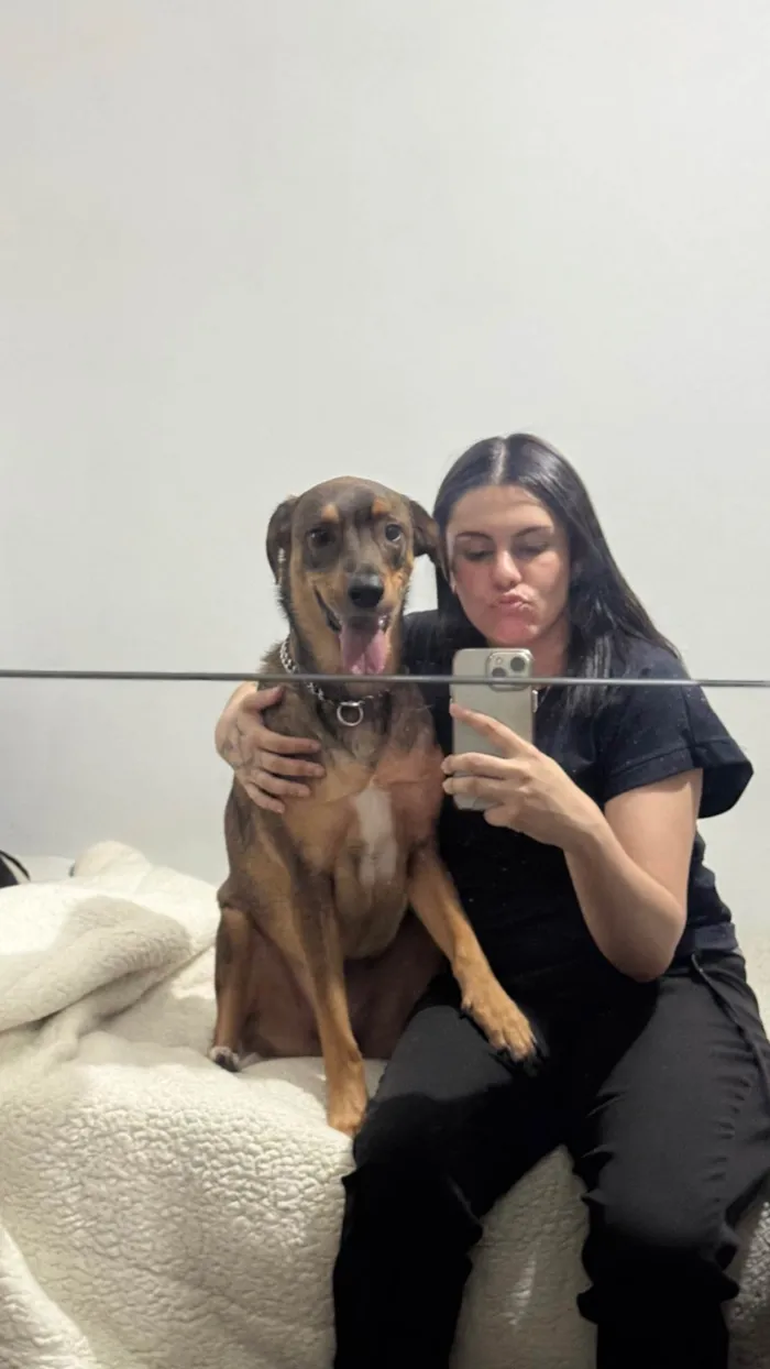 Cachorro ra a SRD-ViraLata idade 2 anos nome Urso