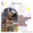 Bartho