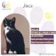 Jack