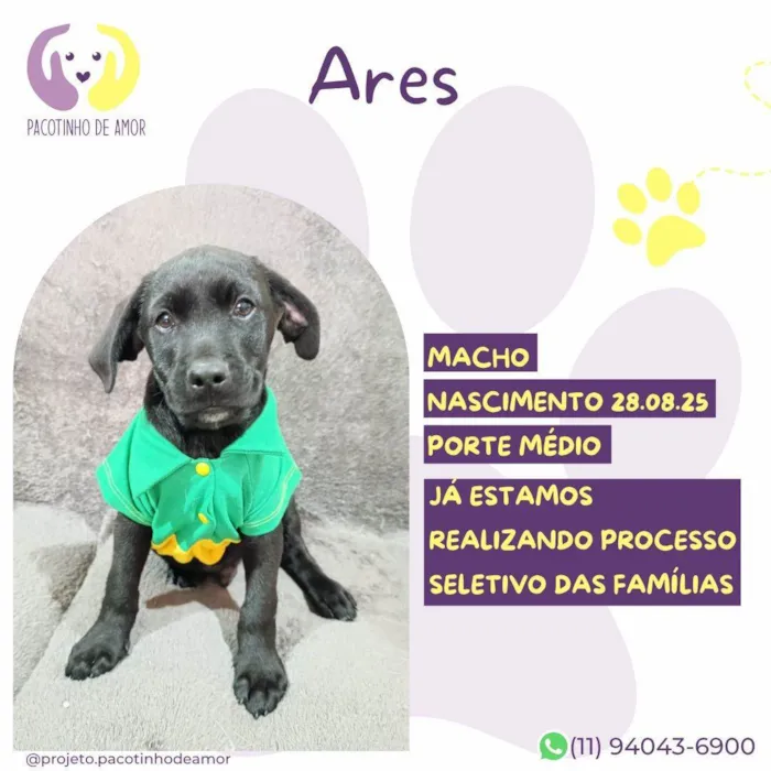 Ares