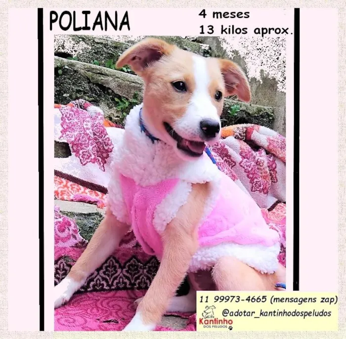 POLIANA