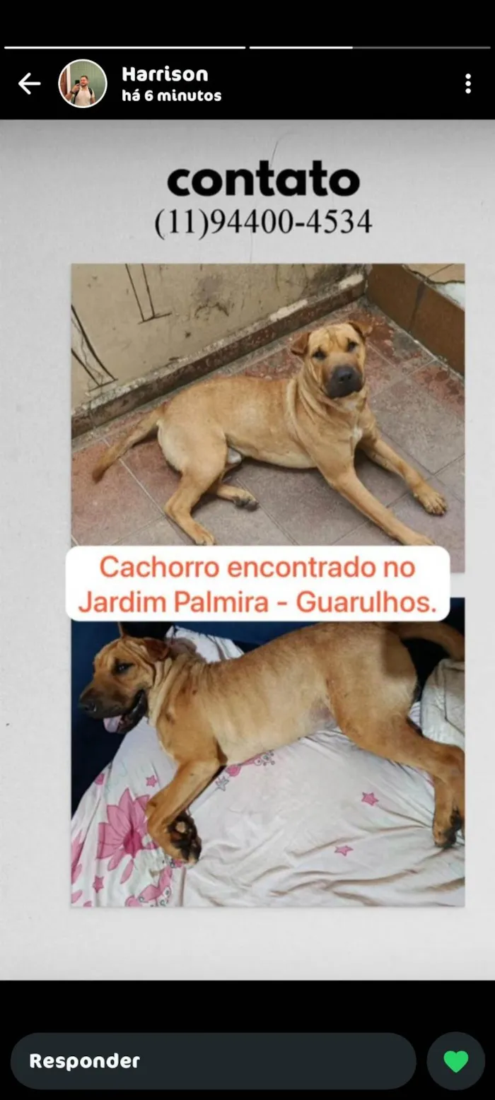 Apelidado de Caramelo 