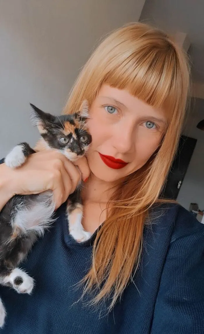 Gato ra a SRD-ViraLata idade 2 a 6 meses nome Frida